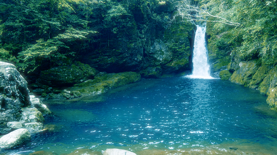 高知01